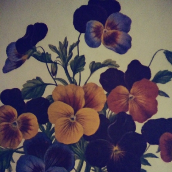 Meet your Posher, Becky - Picture 5 of 8